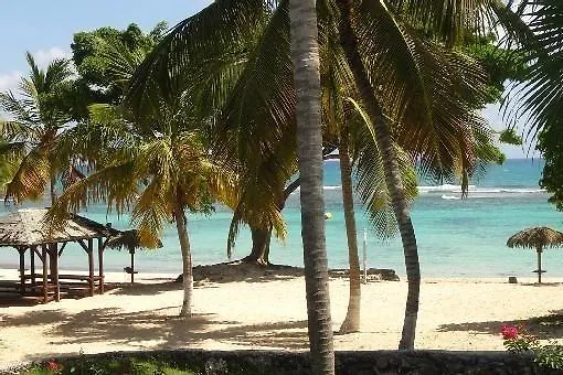 شقة L'Oiseau Du Paradis Vue Mer Studio A Saint Francois A 100 M De La Plage