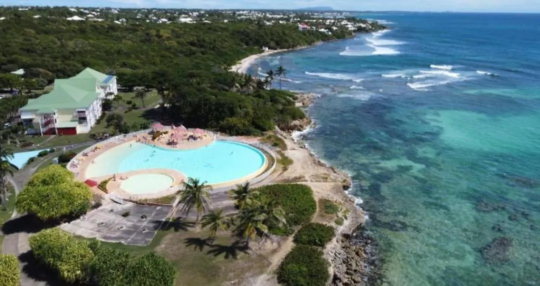 L'Oiseau Du Paradis Vue Mer Studio A Saint Francois A 100 M De La Plage